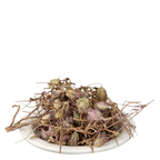 Yuvika Jufa - Zufa - Hyssopus Officinalis Linn - Hyssop - Issopo - Holy Herb
