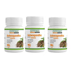 Gattumal Ayurveda Ashwagandha Tablets - Distacart