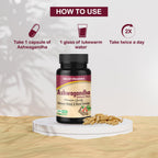 Jagat Pharma Ashwagandha Capsules | Helps Relieve Stress and Anxiety - Distacart