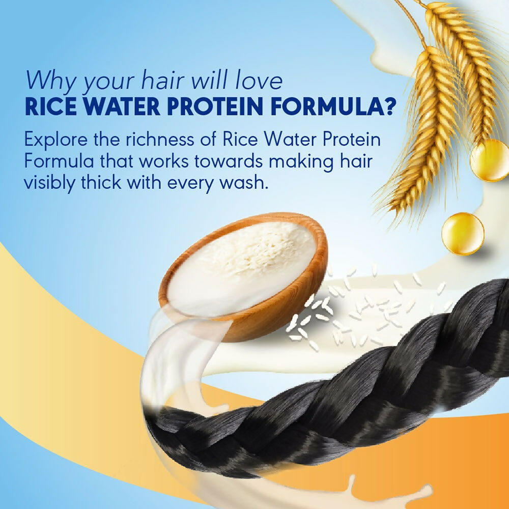 Clinic Plus With Rice Water Protein + Vitamin-E Strong & Thick Shampoo - Distacart