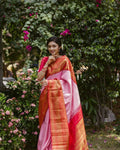 DEIANA'S Beautiful Designer Golden zari Soft Lichi Silk Saree - Baby pink