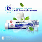Ayouthveda Toothpaste Combo