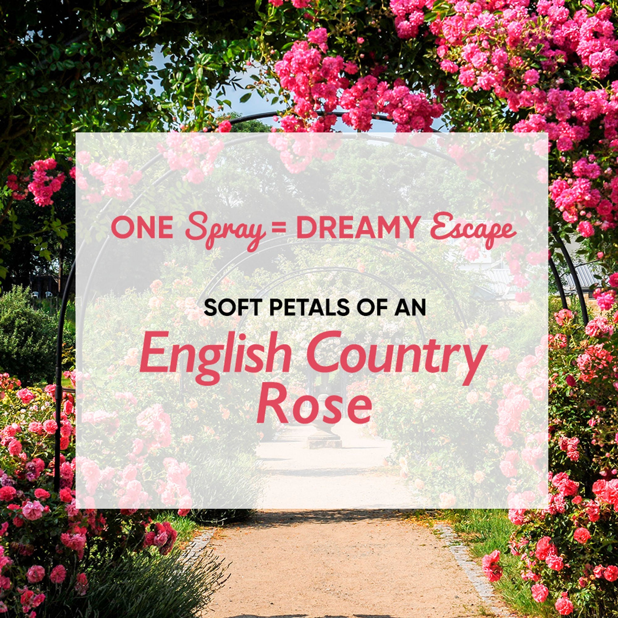 Wanderlust Fragrance Mist For Her - Country Rose