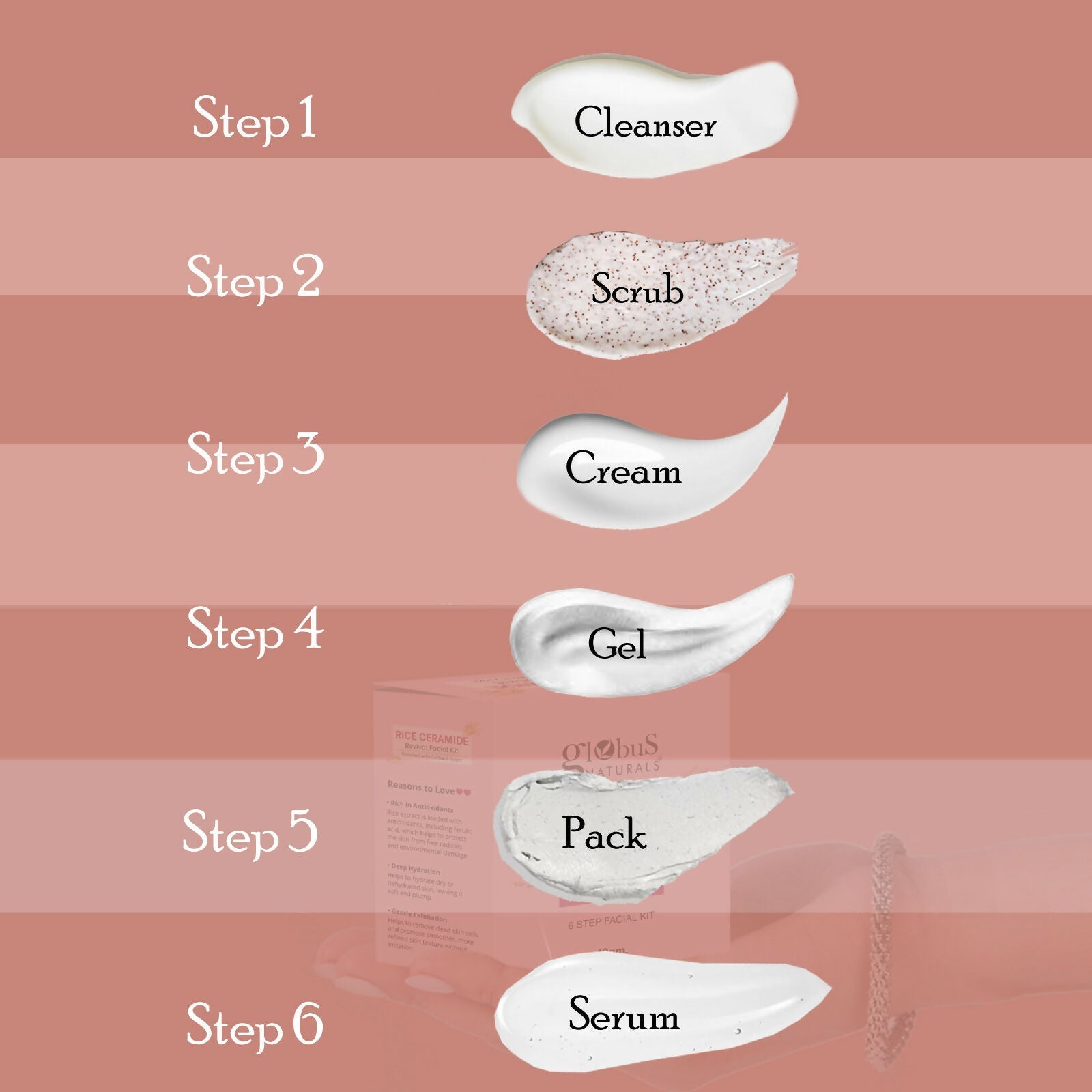 Globus Naturals Rice Ceramide 6 Step Facial Kit For Korean Glass Skin - Distacart