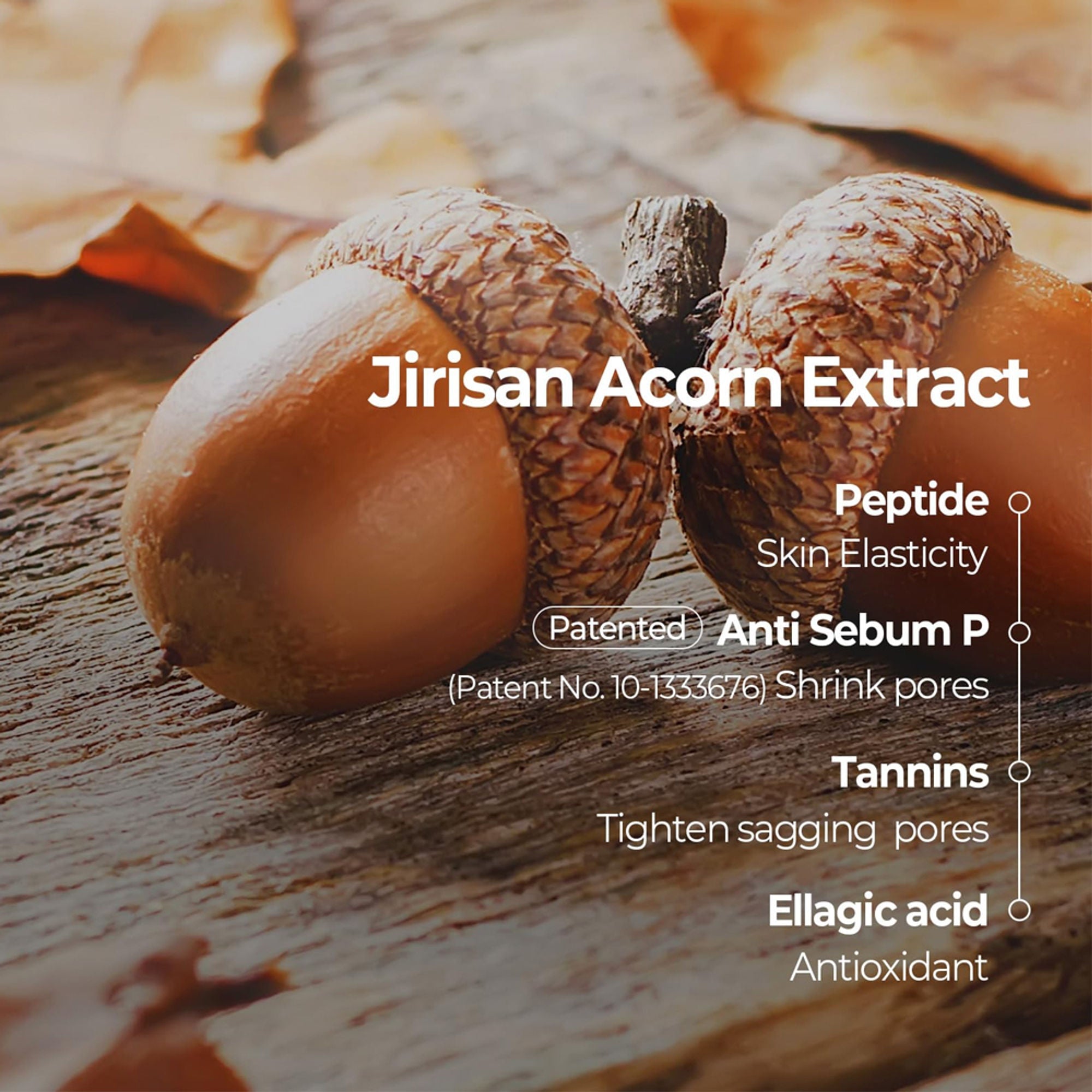 Skinfood Acorn Pore Peptide Pad
