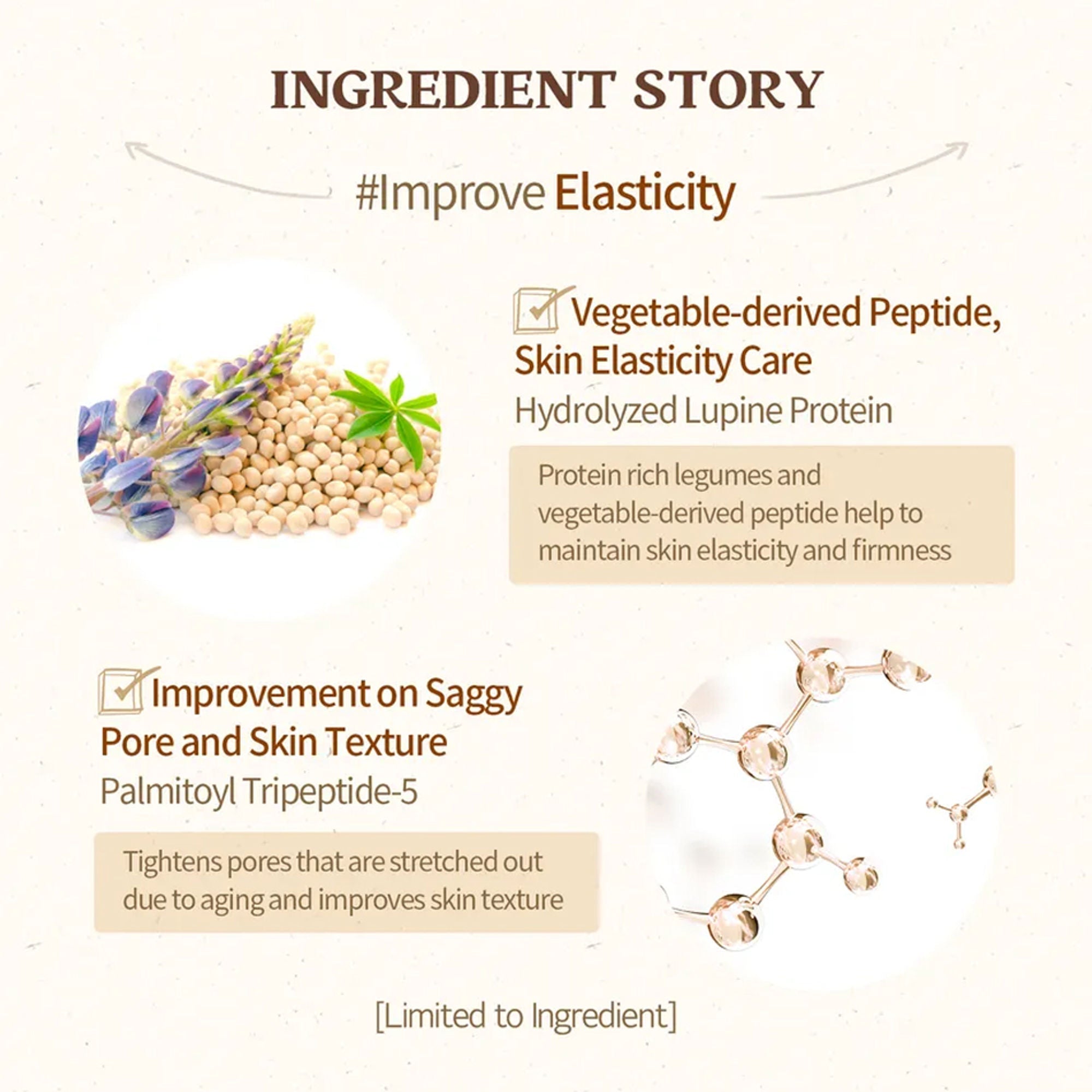 Skinfood Acorn Pore Peptide Ampoule