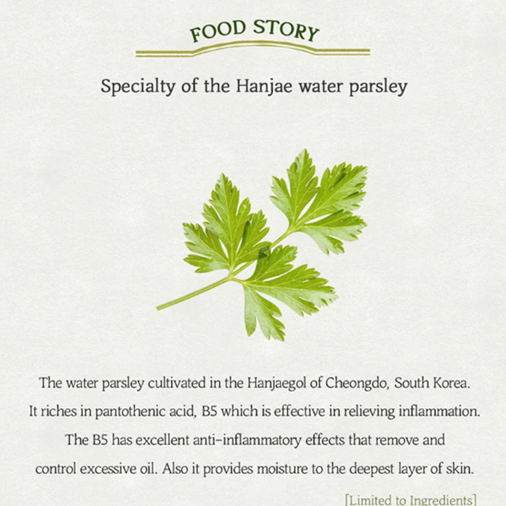 Skinfood Pantothenic Water Parsley Refresh Cleansing Foam