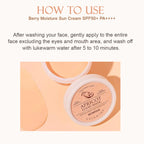 Skinfood Apricot Food Mask