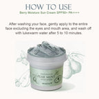 Skinfood Pear Mint Food Mask