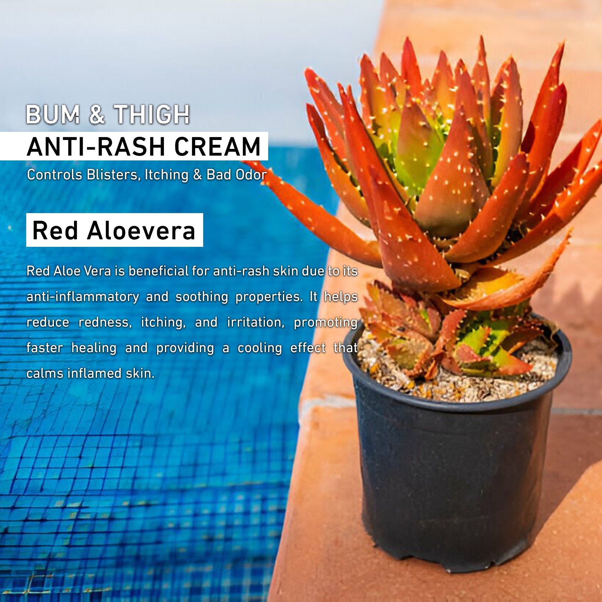SANCTUS Bum & Thigh Anti-Rash Cream - Distacart