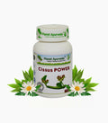Planet Ayurveda Cissus Power Capsules