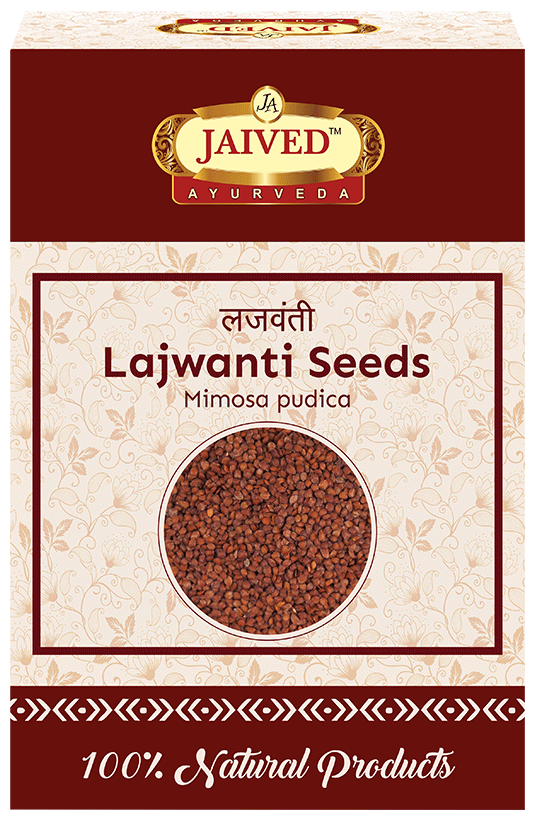 Jaived Ayurveda Sensitive Plant Lajwanti Seeds
