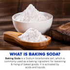 81ld6XL0H5L._SL1500