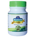 Wilson Bhumi amla Powder