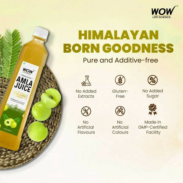 Wow Life Science Himalayan Amla Juice - Distacart