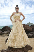 House of Panchhi Cream Net Multi Sequins with heavy Zarkan embroidery Lehenga choli & Dupatta