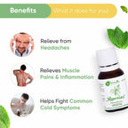 Naturalis Essence of Nature Peppermint Essential Oil