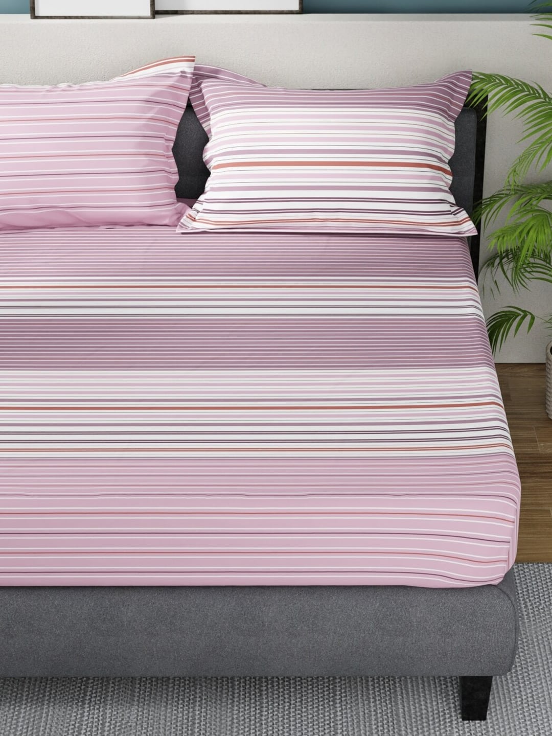 Nautica Bradford Pink & White Striped Cotton 160 TC King Bedsheet with 2 Pillow Covers