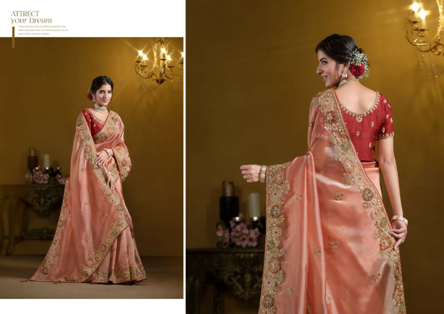 Orange Pure Twill Tissue Pure Khatli work Designer Saree With Blouse. - Rajasvi