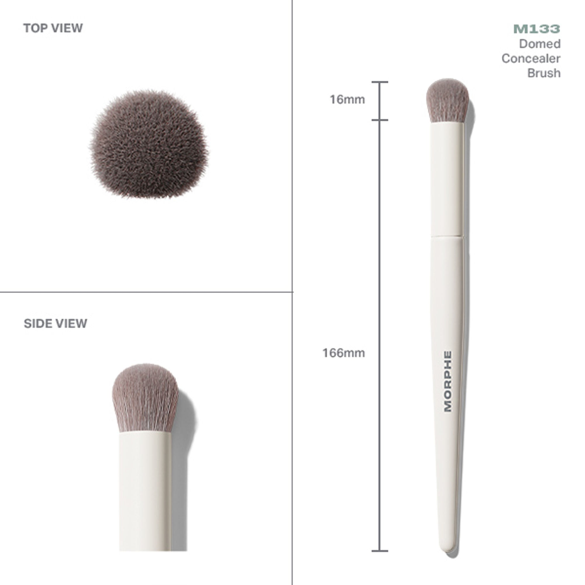 MORPHE M133 Domed Concealer Brush - Distacart