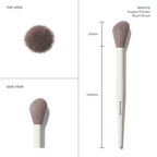 MORPHE M201 Angled Powder Blush Brush - Distacart