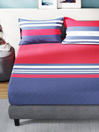 Nautica Bradford Red & Blue Striped 160 TC Pure Cotton King Bedsheet & 2 Pillow Covers