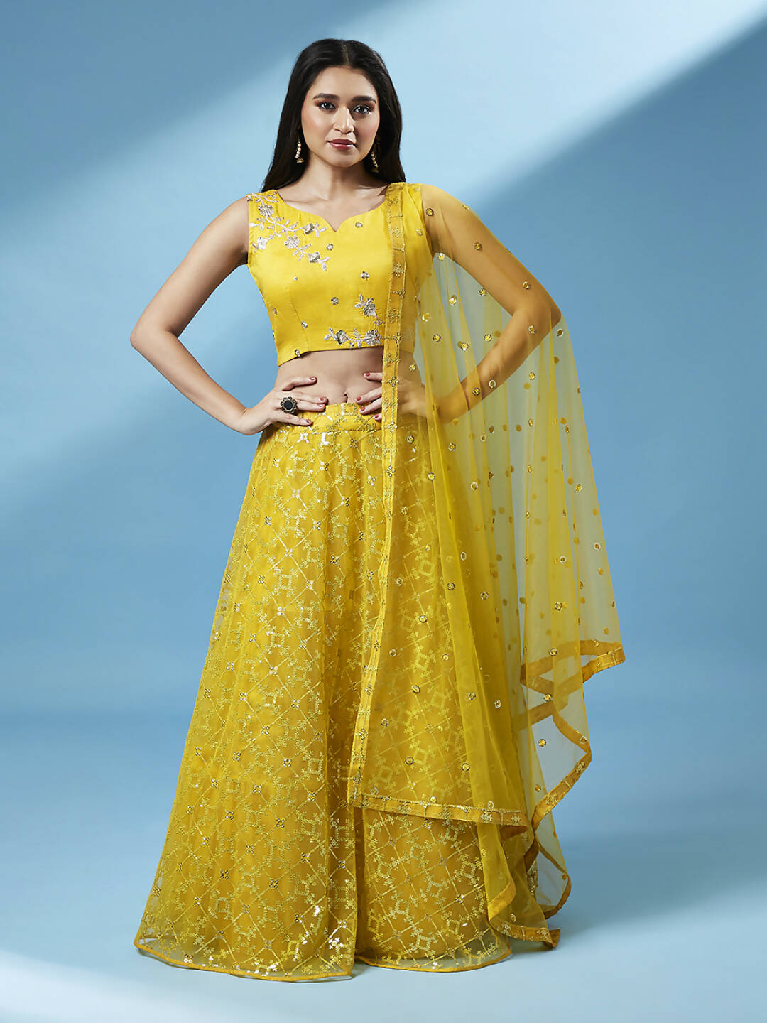 House of Panchhi Mustard Net Sequinse Work Lehenga & Blouse, Dupatta