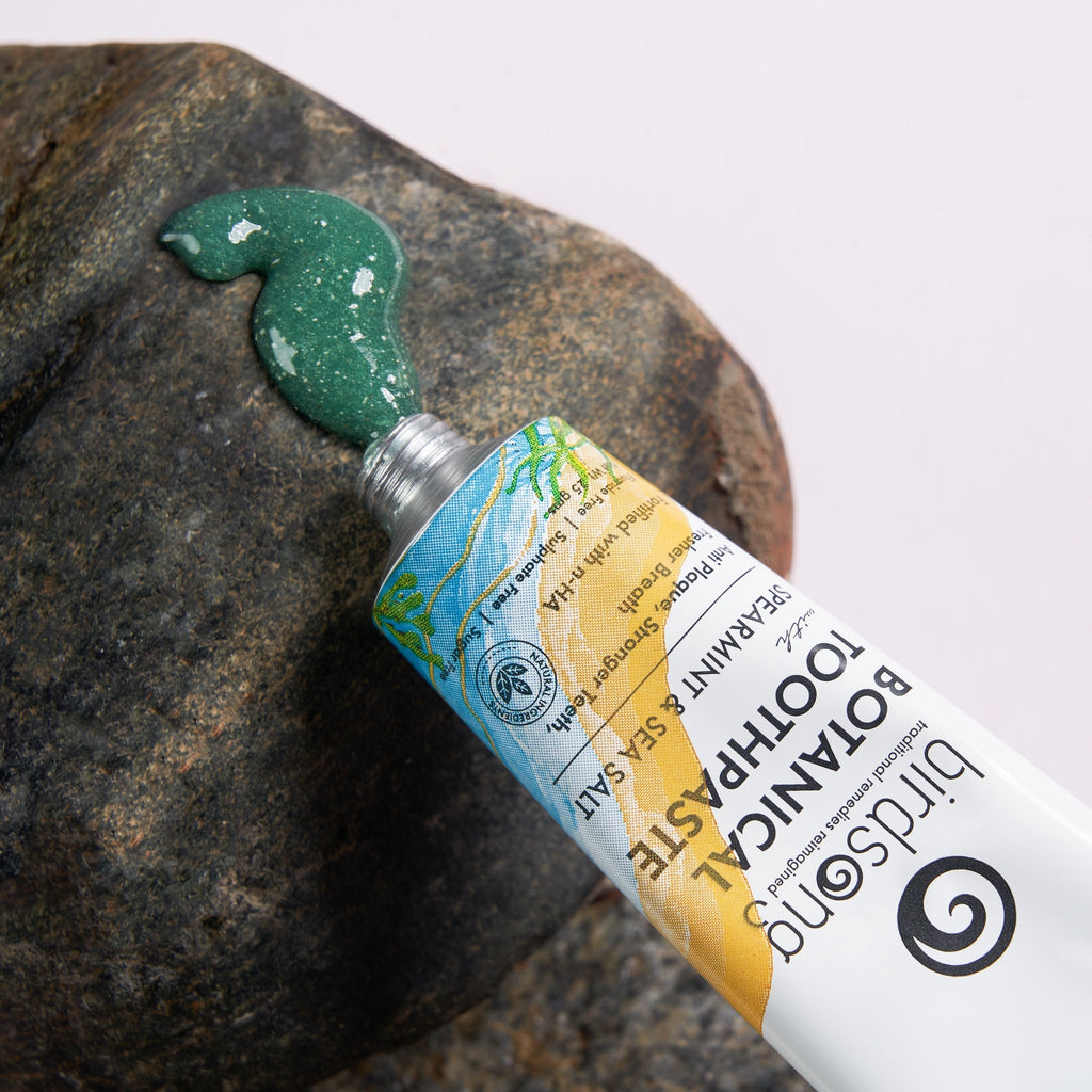 botanical sea salt and spearmint toothpaste 100 gm