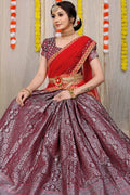 DEIANA'S Beautiful Pure Jari Silk Weaving Lehengha Choli - Brown