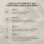 Wellbeing Nutrition Pure Himalayan SJ - Distacart