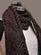 Black Bandhani Kanchipuram Silk Handloom Dupatta with Border Design - Global Threads