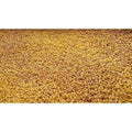 Raw Vaari / Dhanyalu / Dhanyam