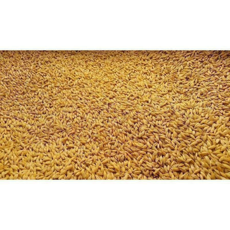 Raw Vaari / Dhanyalu / Dhanyam
