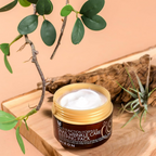Mizon Snail Wrinkle Care Sleeping Pack Overnight Mask