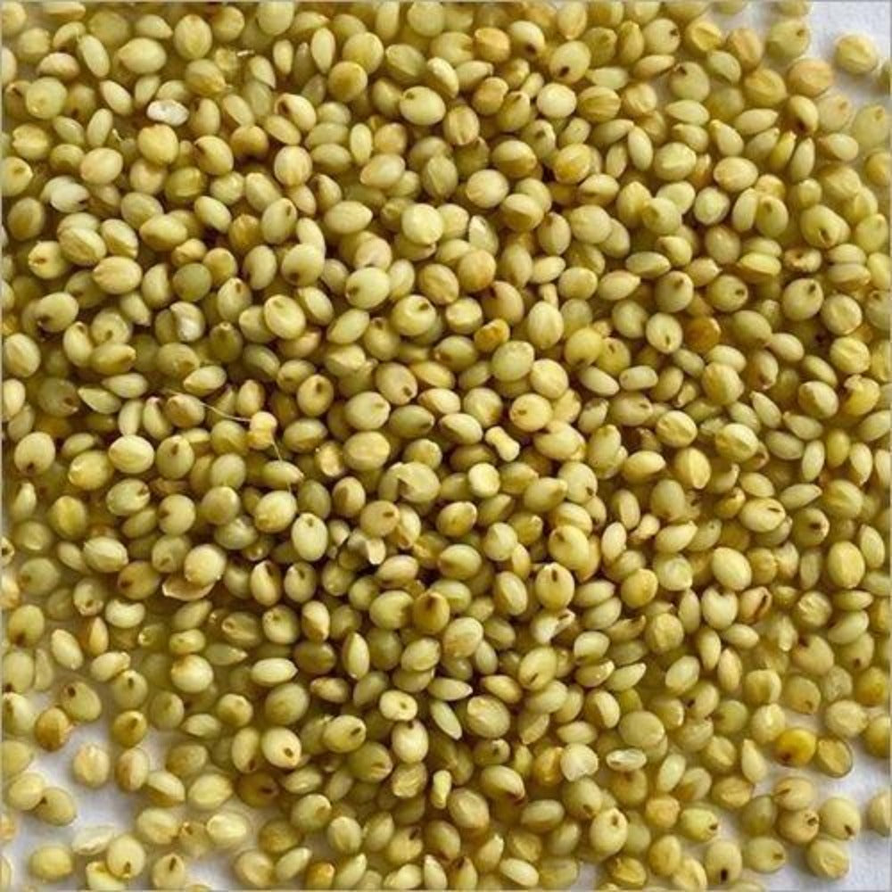Grammy's Brown Top Millet 