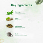 Dr. Vaidya's Liver Care Capsules - Distacart