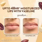 Vaseline Lip Care Lip Balm Stick - Cocoa Butter - Distacart