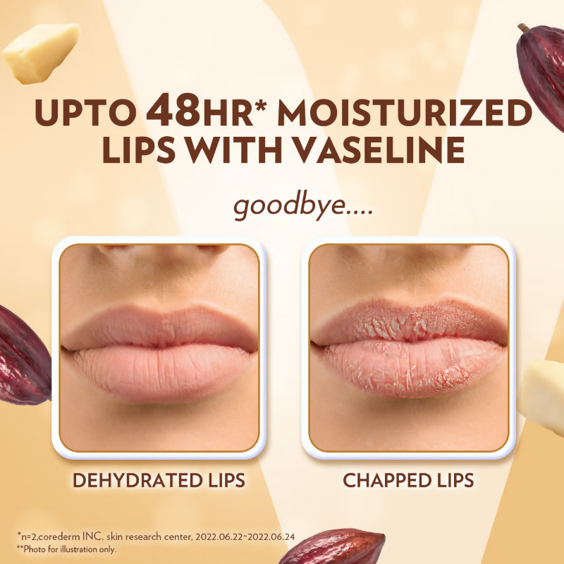 Vaseline Lip Care Lip Balm Stick - Cocoa Butter - Distacart