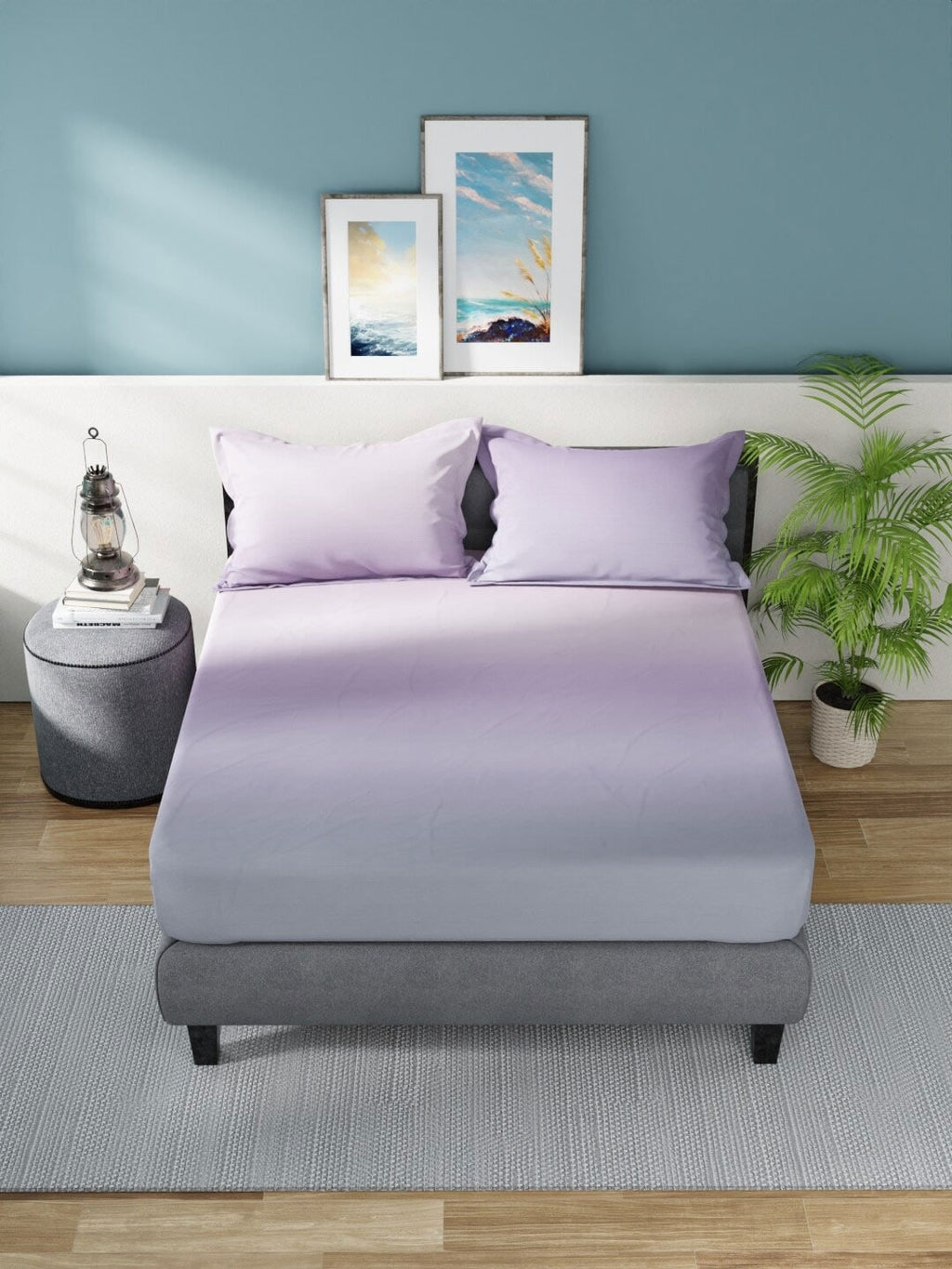 Nautica Bradford Purple & Mauve 160 TC Pure Cotton King Bedsheet & 2 Pillow Covers