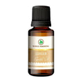 Korus Essential Ginger Essential Oil - Therapeutic Grade - Distacart