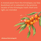 Tattvalogy Himalayan Seabuckthorn Oil - Cold Pressed, Rich in Vitamins E & C, Controls Skin Damage
