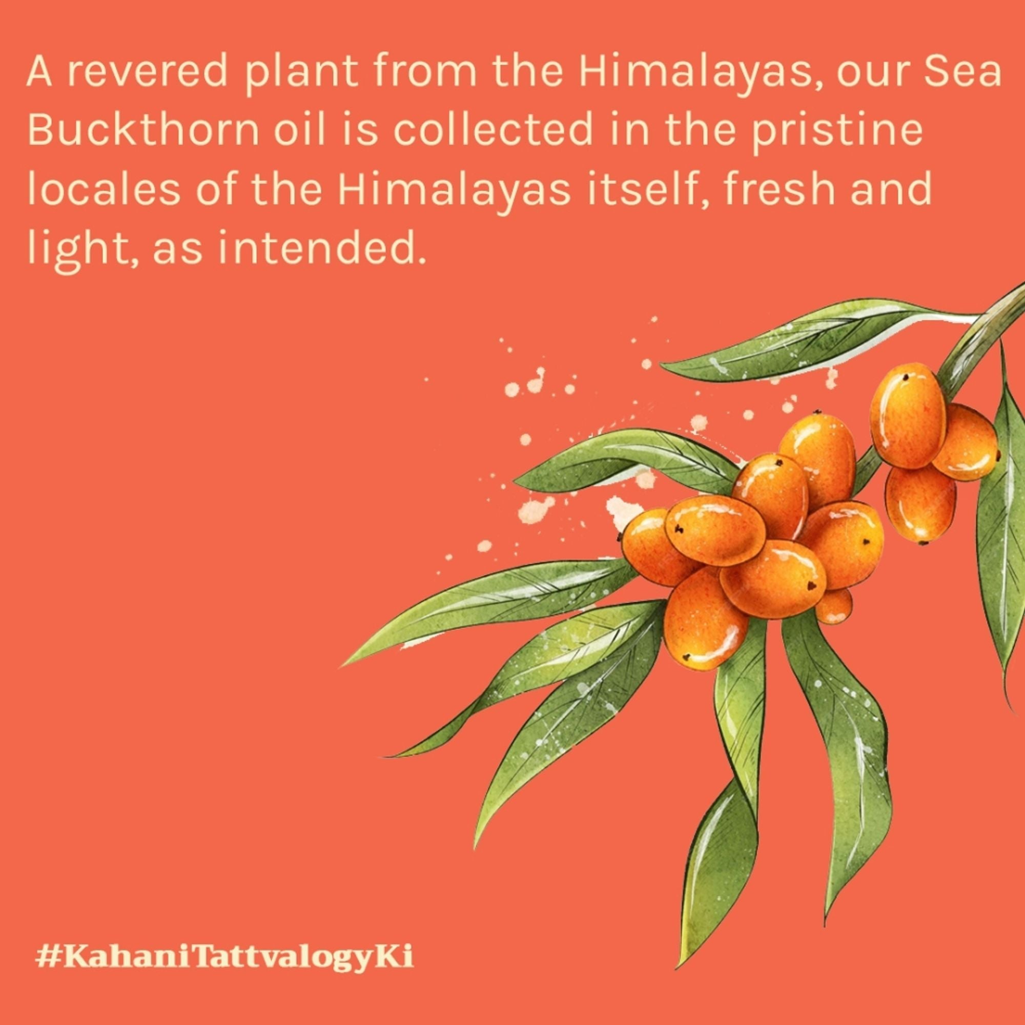Tattvalogy Himalayan Seabuckthorn Oil - Cold Pressed, Rich in Vitamins E & C, Controls Skin Damage