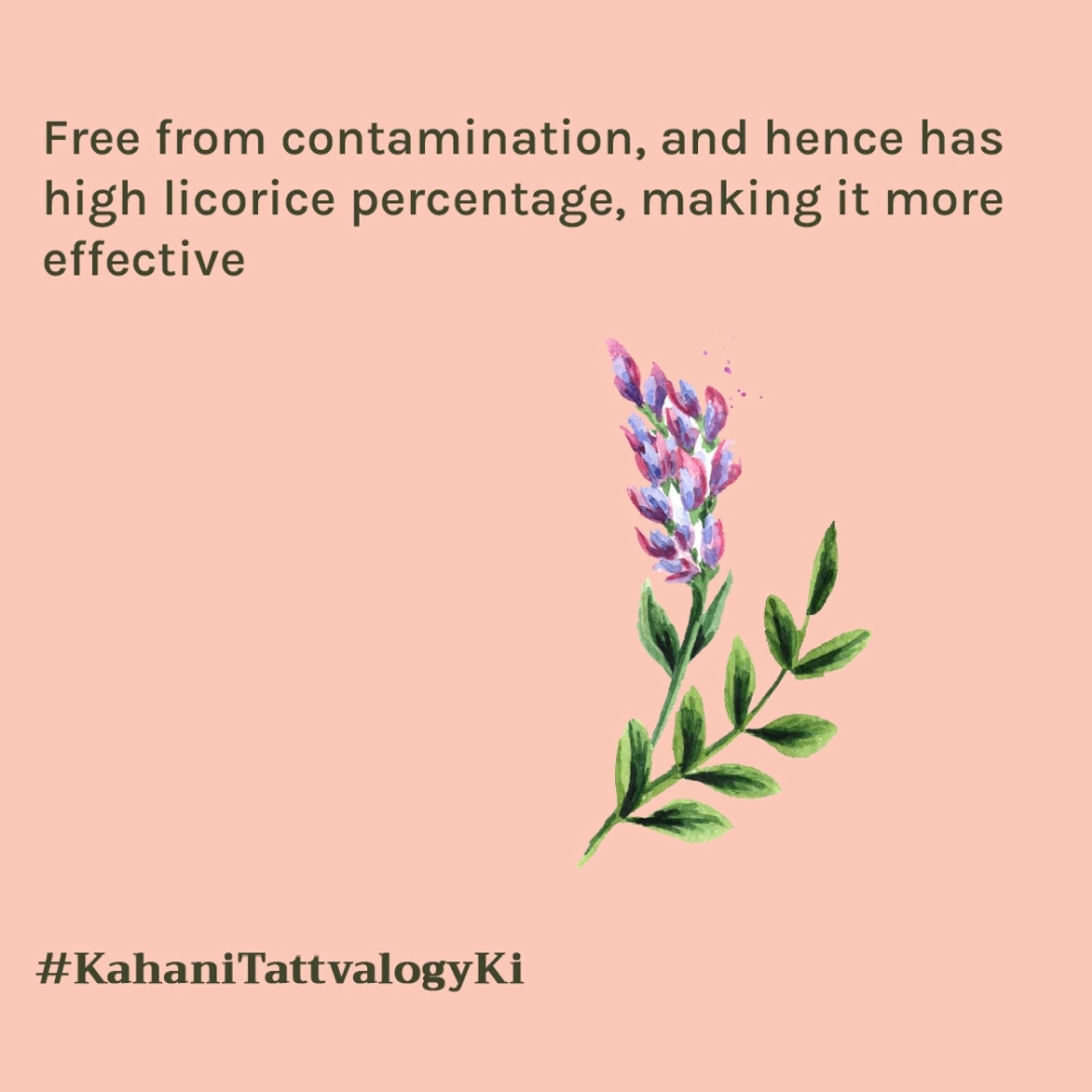 Tattvalogy Licorice Powder - Fades Dark Spots & Pigmentation, Brightens & Evens Skin Tone Naturally - Distacart