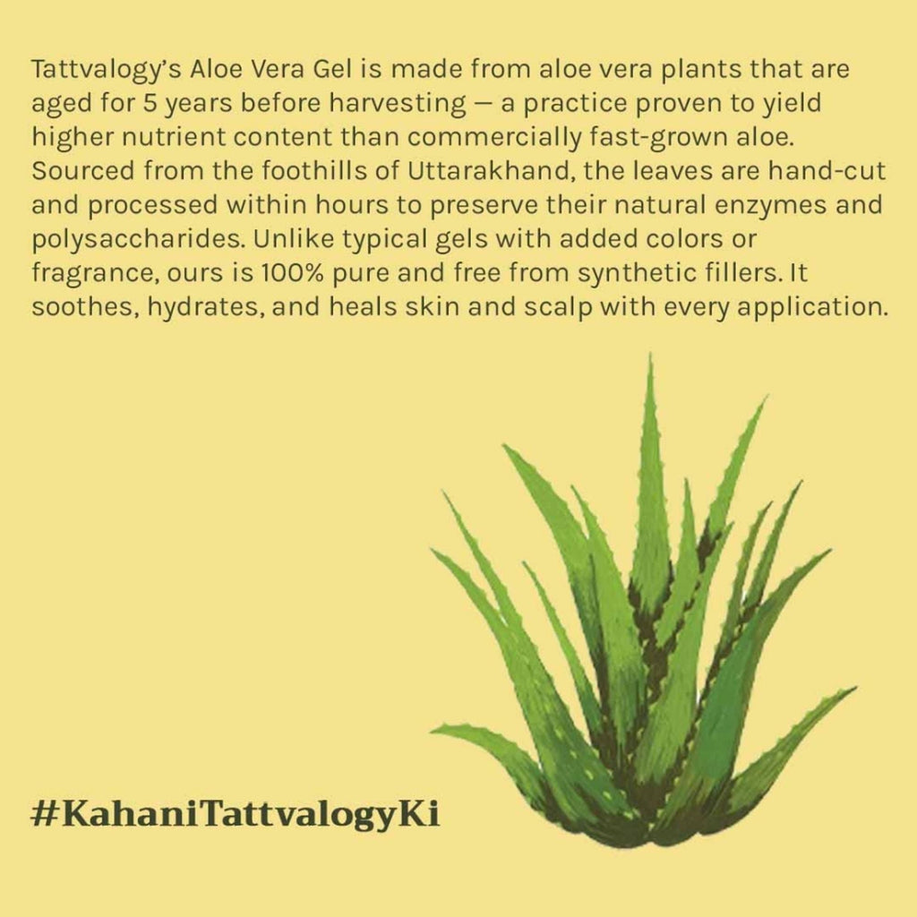 Tattvalogy Aloe Vera Gel - 5 Year Aged, No Glycerine, Preservatives, Color or Fragrance, Fights Acne