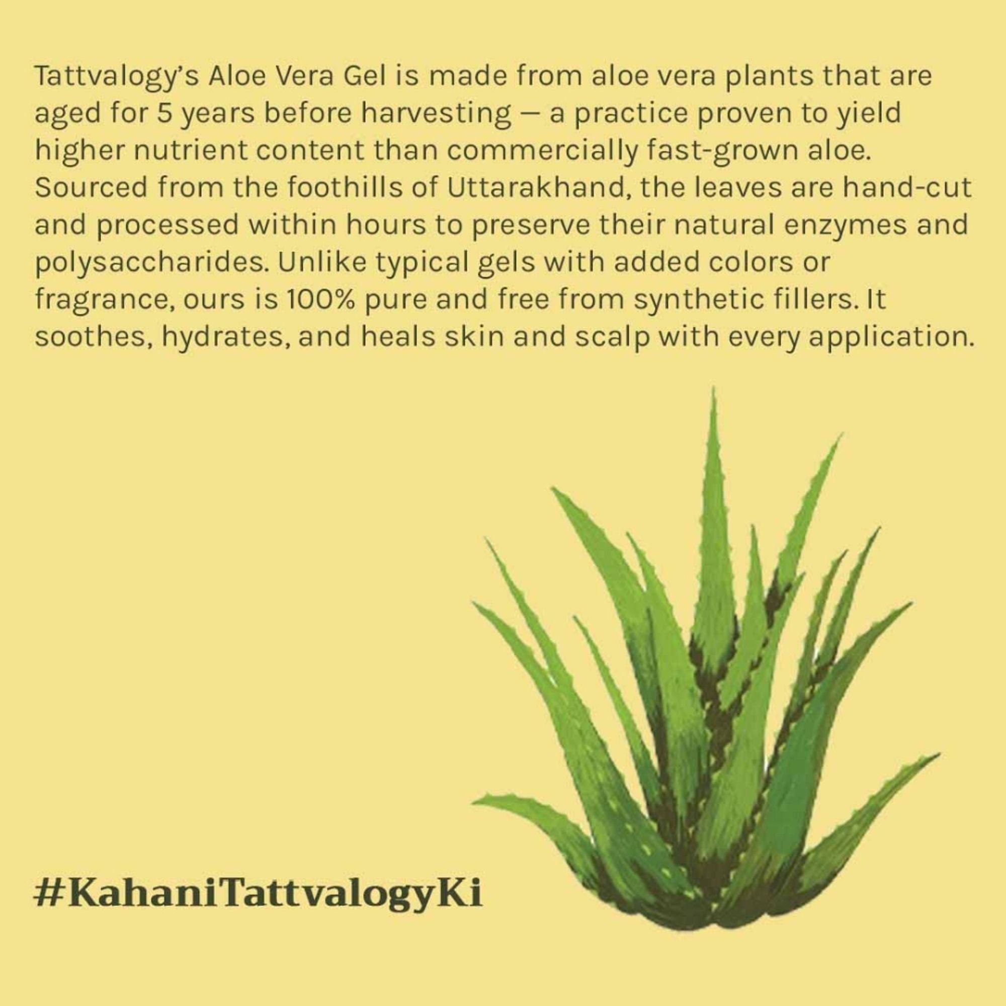 Tattvalogy Aloe Vera Gel - 5 Year Aged, No Glycerine, Preservatives, Color or Fragrance, Fights Acne