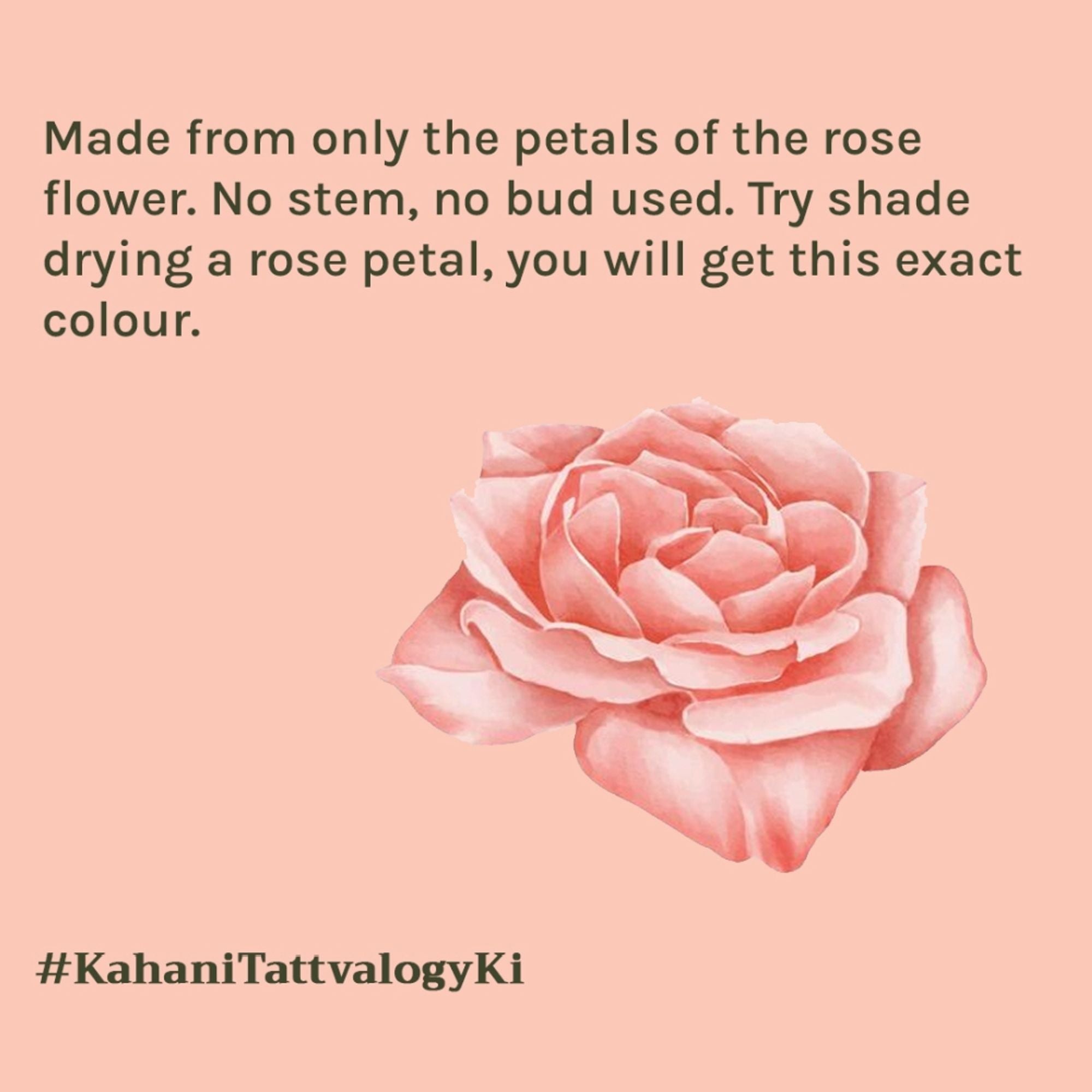 Tattvalogy Rose Petal Powder -Shade Dried, Nutrient -Rich for Radiant Skin & Instant Glow Naturally