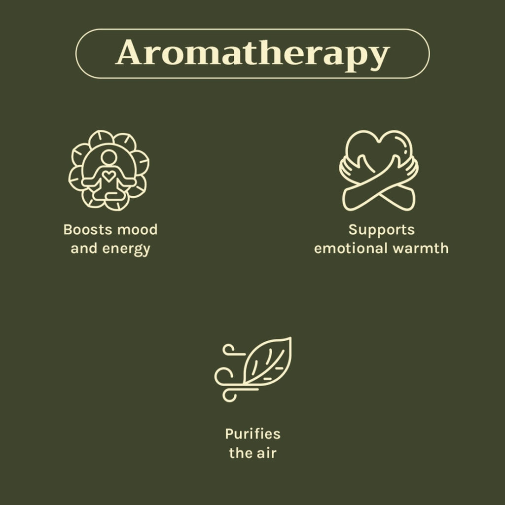 Tattvalogy Cinnamon Bark Essential Oil - Anti - Acne, Reduces Hair Fall, Has a nice spicy aroma - Distacart