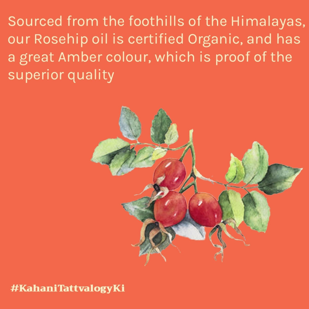 Tattvalogy Raw Rosehip Oil - Vitamin-C Rich, Boosts Collagen, Reduces Hyperpigmentation for Glow - Distacart