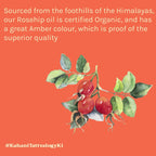 Tattvalogy Raw Rosehip Oil - Vitamin-C Rich, Boosts Collagen, Reduces Hyperpigmentation for Glow - Distacart