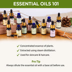Nykaa Naturals Bestseller Rosemary Essential Oil For Hair Growth & Nourishing Scalp - 100% Natural